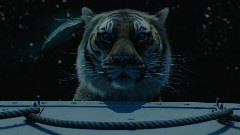 影视原声 - 一束光