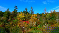 Spiritual Garden