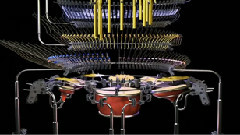 Acoustic Curves