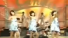 暑中お見舞い申し上げます