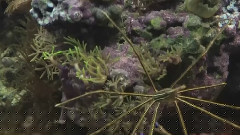 海底世界