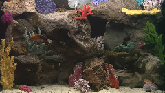 海底世界