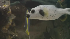 海底世界