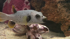 海底世界