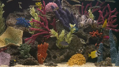 海底世界