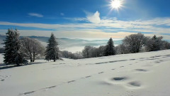 We Wish You A Merry Christmas And A Happy New Year