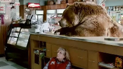 Chobani Grizzly Bear
