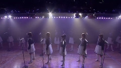 桜の花びらたち(樱花花瓣)