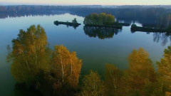Bohemia Wetland In Spring