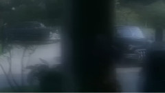掠影浮光