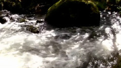 气定神闲