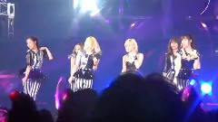 Flower Power & Animal