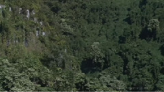 夏威夷