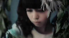 Overfly