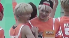 驯鹿各种大粉红