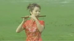 骏马奔驰保边疆笛子简谱_用笛子吹骏马奔驰保边疆用什么调的笛子(3)