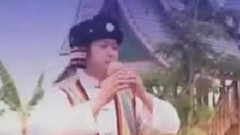 多情的巴乌