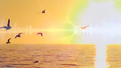 Green Cape Sunset