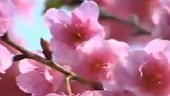 李贵中,音乐短片 - 敖包相会