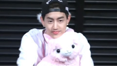 小羊和MARK