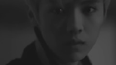 Love The Way You Lie