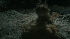 <海洋>精选9