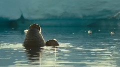 <海洋>精选