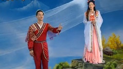 彩蝶双飞