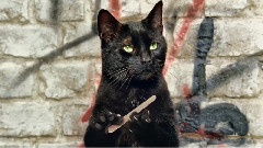 Cats With Thumbs