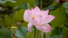 多彩贵州行