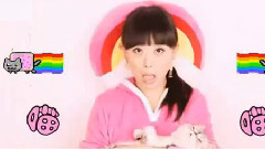 喵之歌