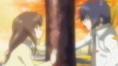 Timeless 动画版