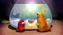 Aquarium