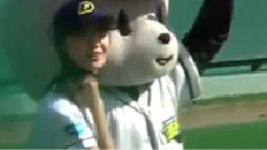 Baseball Play Off