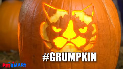 Grumpy Cat Meets Grump O Lantern