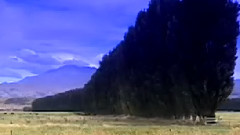 绣金匾