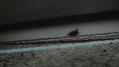 你和我