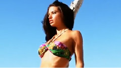 Victoria Secret Swim 2012 Beauty The Beach