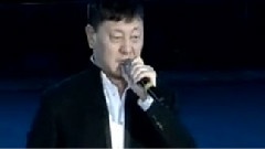 我爱你中国