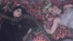 Carpe Noctem