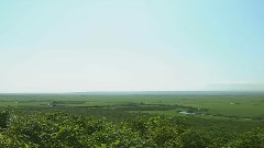 北国之春