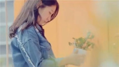 My Dear(副题:花)