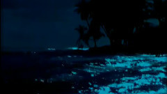 Romantic For You - Midnight Blue
