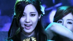 Terminator Taetiseo