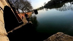 Trial X Session