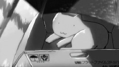 她和她的猫