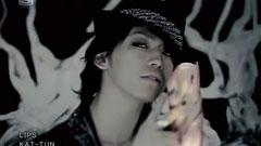 LIPS