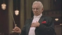 Bernstein Mozart