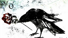 Corvo