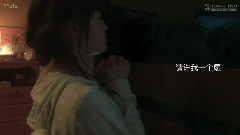 笨蛋